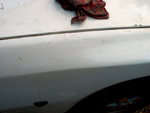 View of front fender